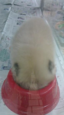 クイズ