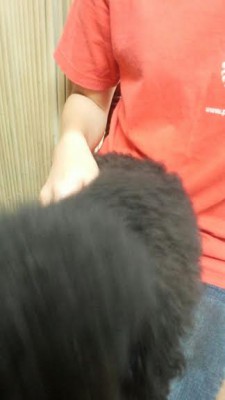 撮影拒否２