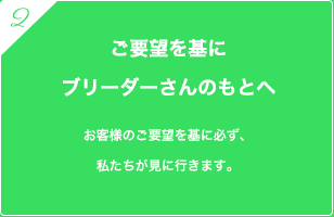 ご要望を基にブリーダーさんのもとへ