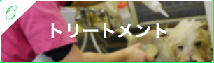 06.トリートメント