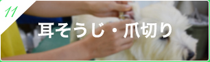 11.耳そうじ・爪切り